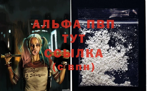 дмт Вуктыл
