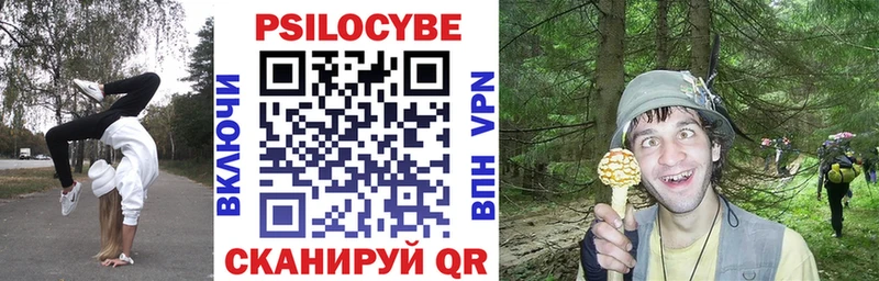 Псилоцибиновые грибы MAGIC MUSHROOMS  Колпашево 